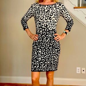 American Living X-small Animal Print Winter Dress